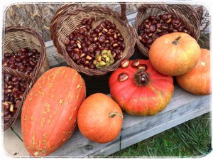 fruits et legumes de saisons